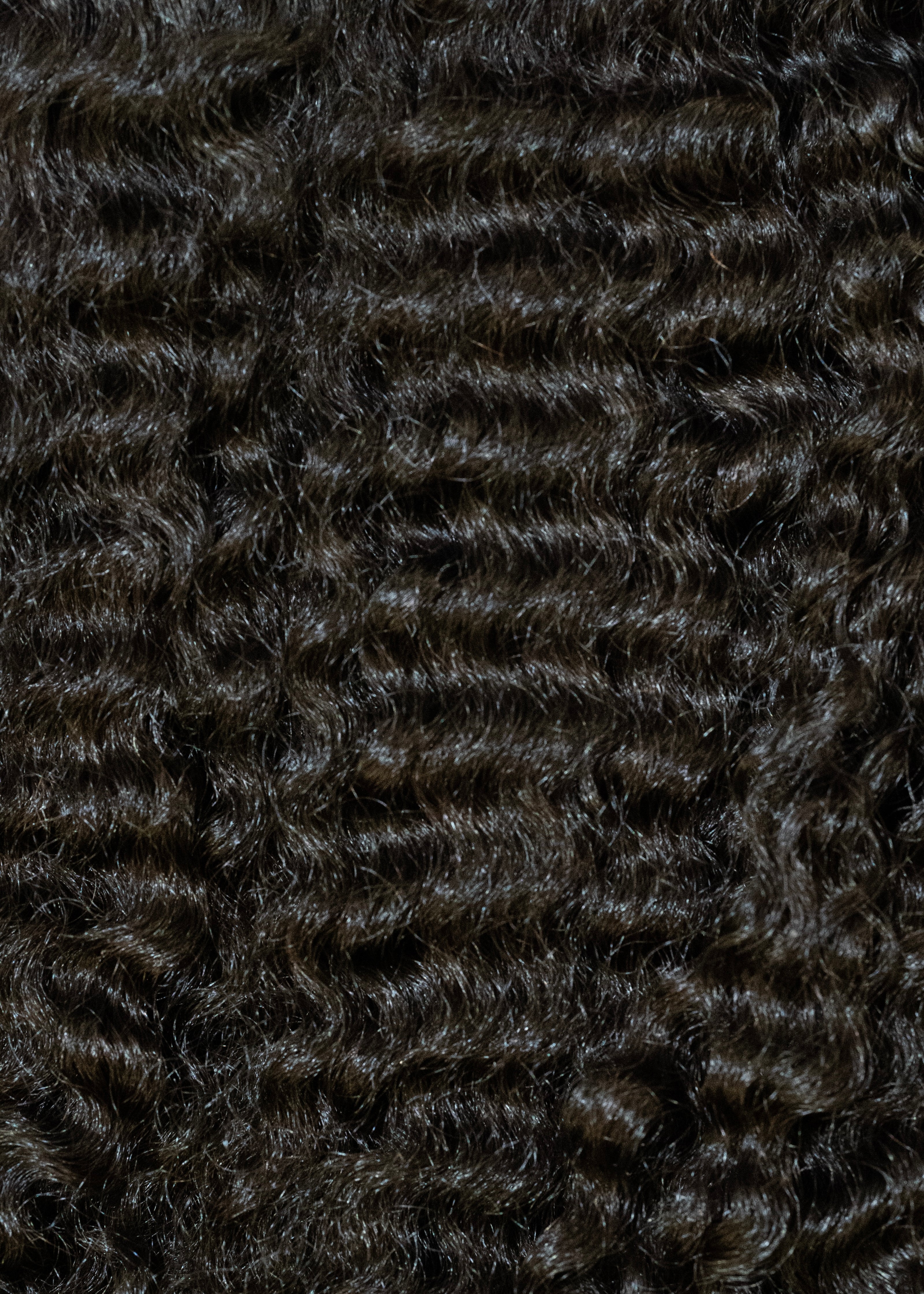 Burme Curly