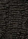 Burme Curly